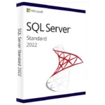 Licenta Microsoft SQL Server Standard 2022