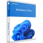 Licenta Windows 11 Professional