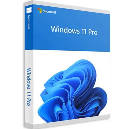Licenta Windows 11 Professional